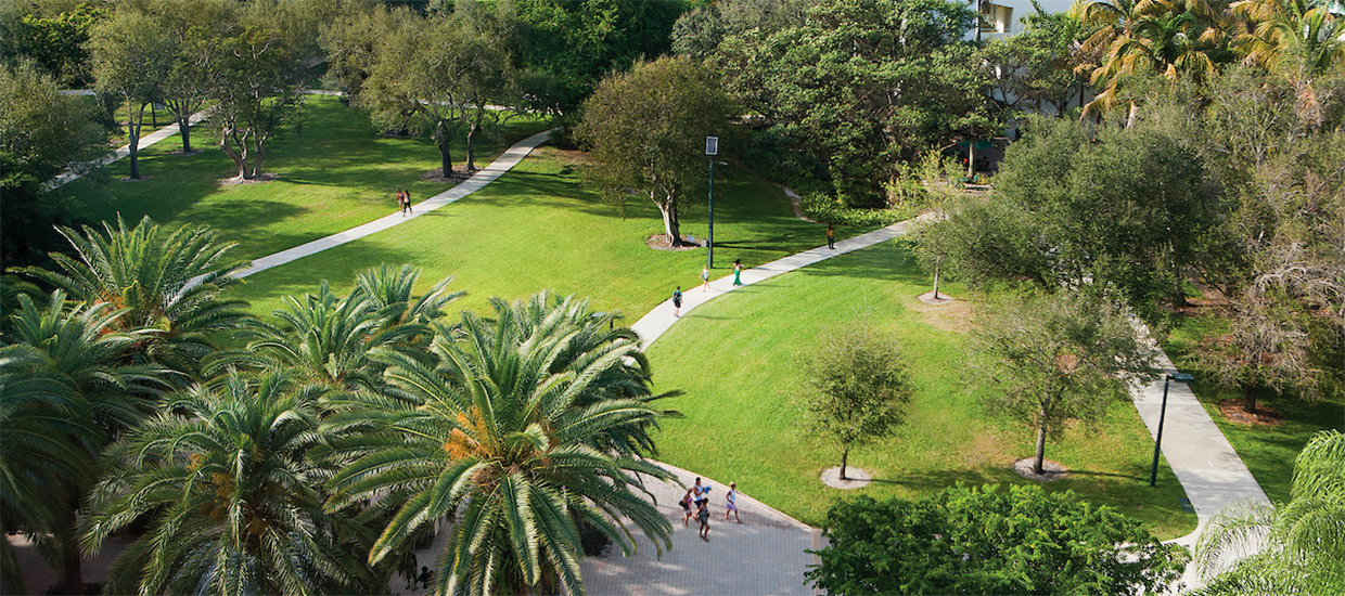 This is an overhead view of the University of Miami Coral Gables campus.
