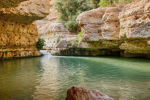 This is a stock photo. Nahal Arugot is a natural pool in the Ein Gedi Nature Reserve in Israel.