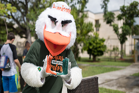 A photography of Sebastian the Ibis; Sebastian is the University of Miami mascot.