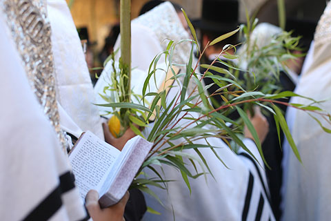 This is a stock photo. An up close view of a Tallit prayer shawl.